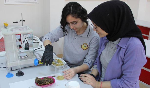 Liselilerin buluşu ile yaralar erken iyileşecek