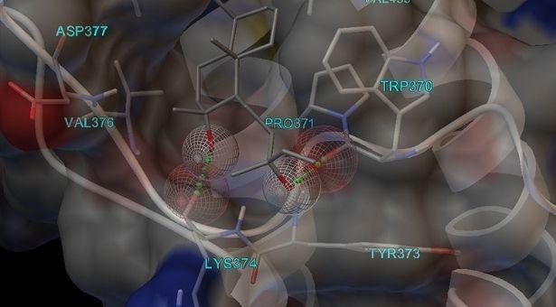 Türk bilim insanları COVID-19'a karşı 'antiviral' etkili koku molekülleri tespit etti 