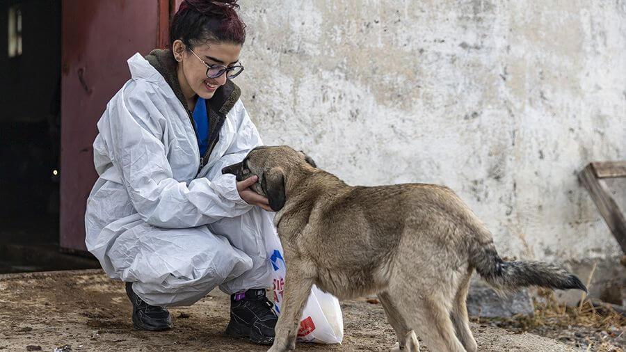 Besiciye veterinerlik hizmeti götüren öğrenciler saha tecrübesi kazanıyor