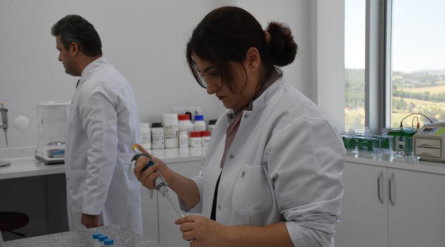 Bilecik'te araştırmacılar kas erimesi hastaları için yeni bir tedavi üzerinde çalışıyor