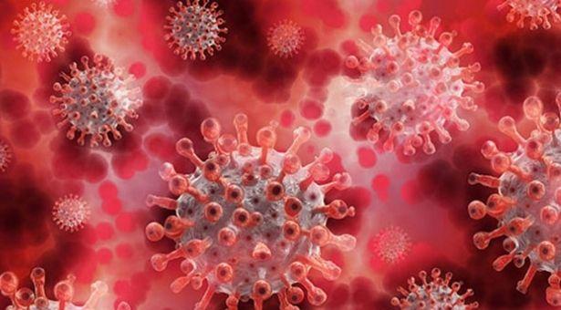DSÖ heyetindeki profesör açıkladı: COVID-19, Çin'de ortaya çıkmamış olabilir