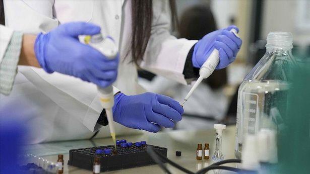 Ege Üniversitesinden COVID-19'a karşı yerli DNA aşısı