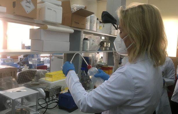 Dünya'da ilk: İstanbul Üniversitesi'nden COVID'e karşı ilaç çalışması