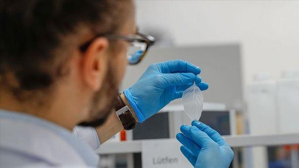 Türk bilim insanından ödüllü proje: Ispanak kronik yara tedavisinde kullanılabilir