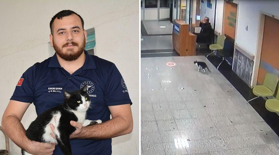 Bitlis'te sekerek acil servise giden kediye sağlık çalışanları sahip çıktı