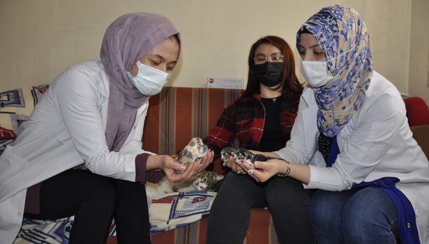 Doğum sancısı çeken kedi aile sağlığı merkezine geldi, doğumu burada yaptırıldı