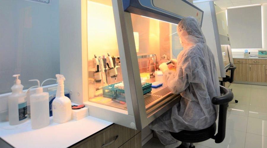 Türk bilim insanları geliştirdi! Maymun çiçeği virüsü 1 saatte saptanabilecek