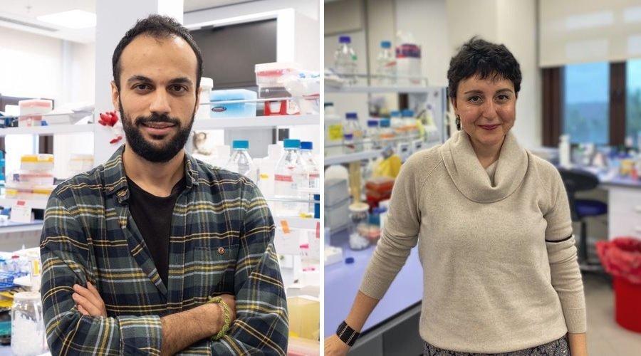 Koç Üniversitesi araştırmacıları COVID-19 ile mücadeleyi yeni bir molekülle ateşliyor