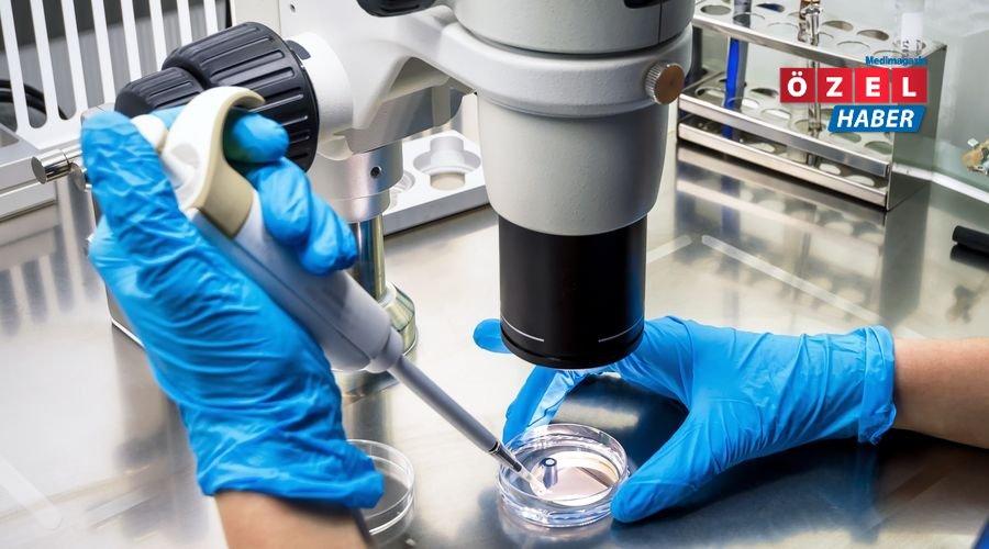 50 yaşın altındaki yetişkinlerde kanserler küresel olarak artıyor