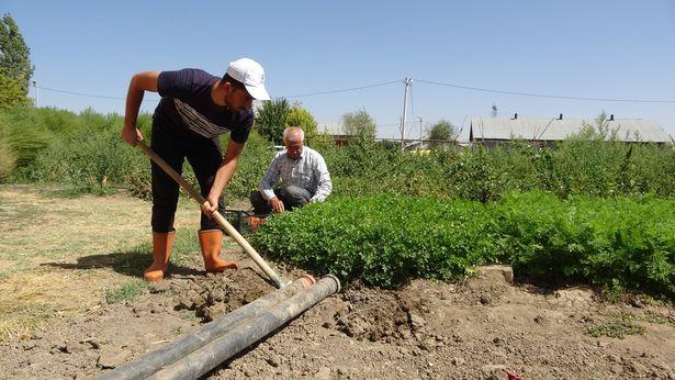 Muş'ta tarlada çalışıp ailesine yardım eden genç, tıp fakültesini kazandı