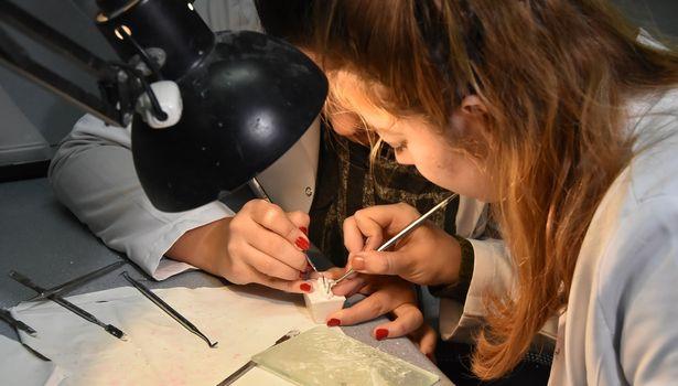 DEPAD’dan OMÜ Diş Hekimliği Fakültesi’ne tam akreditasyon