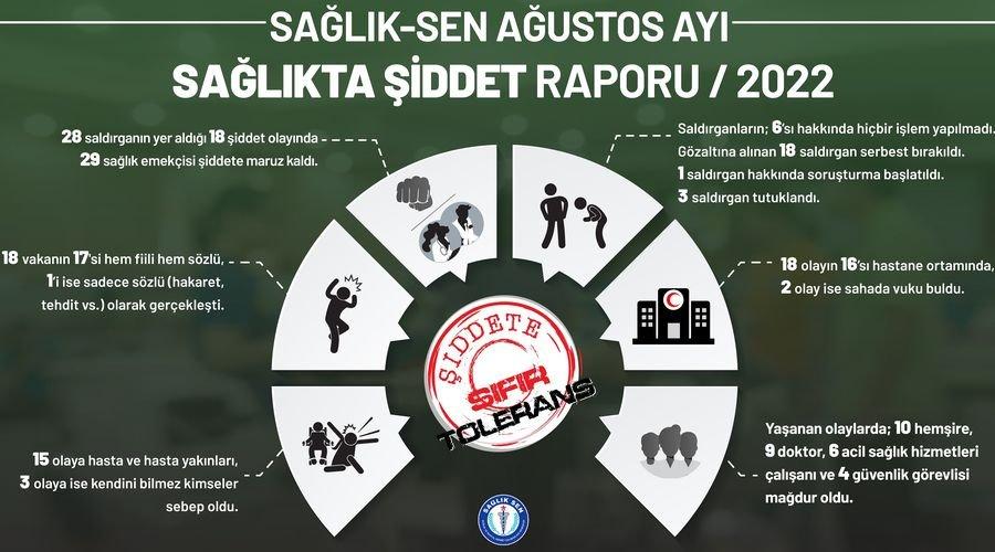 Sağlık-Sen raporu: Ağustos ayında 29 sağlık çalışanı şiddete maruz kaldı
