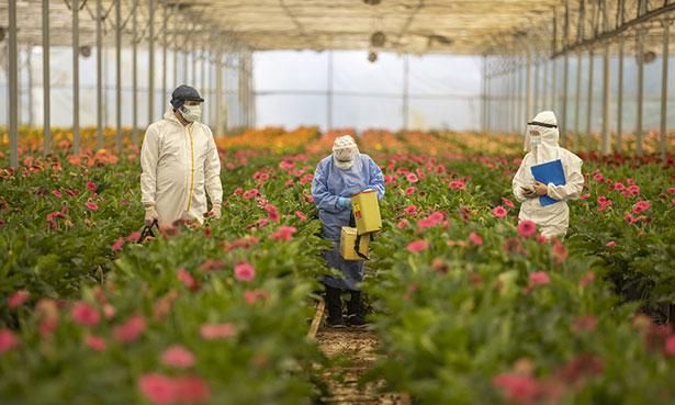 Antalya'da aşı ikna ekibi, tulumları giyip sıcakta seralarda ikna turları yapıyor