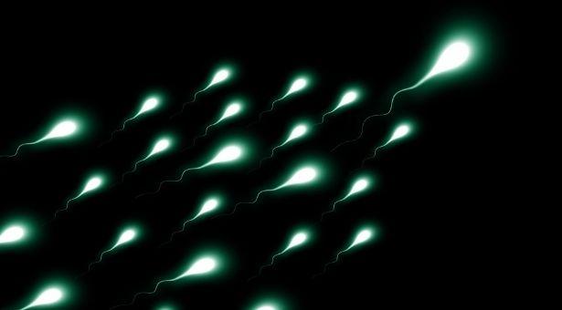 Obezite hastalarıyla sağlıklı kilodaki erkekleri karşılaştırdılar: Sperm uyarısı!