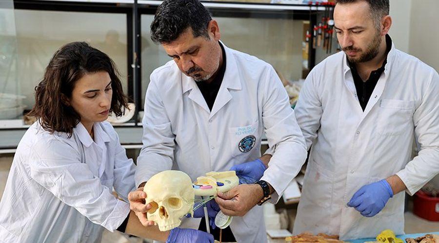 Anatomi profesörü kadavranın yerini alan tıbbi maketler üretiyor