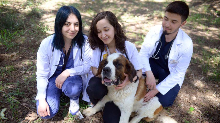 Ölümü yenen 'Beto', hastane bahçesinde sahiplendirilmeyi bekliyor