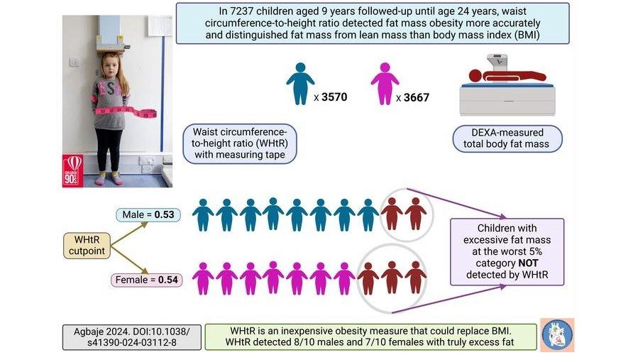 Araştırmaya göre bel-boy oranı, çocuklarda ve ergenlerde obeziteyi BMI'den önemli ölçüde daha iyi tespit ediyor