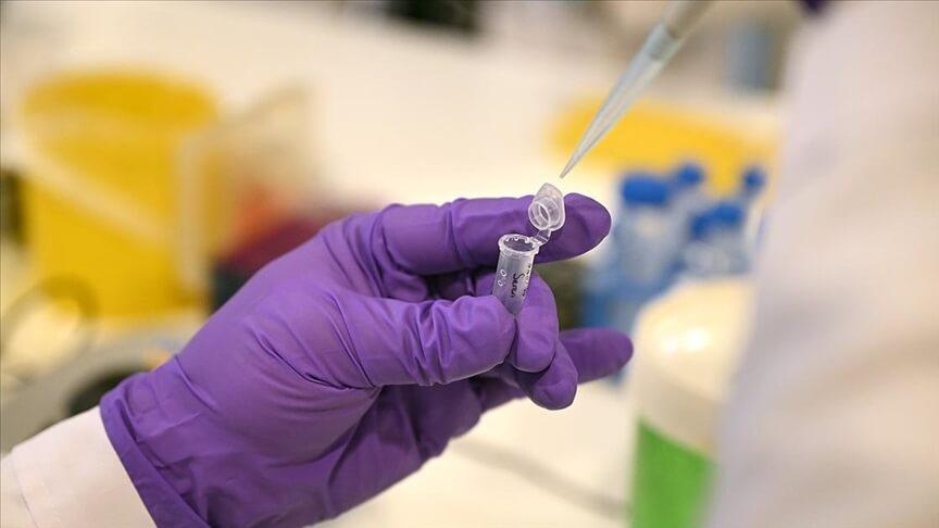 Ege Üniversitesinde geliştirilen COVID-19 DNA aşısında insan deneyi aşamasına gelindi