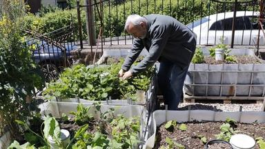 Emekli profesör sürdürülebilir tarımla evinin bahçesinde 'mini çiftlik' kurdu