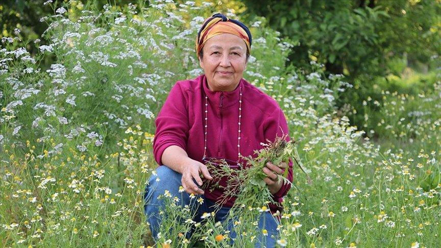 Emekli ziraat mühendisi bahçesinde 30 çeşit tıbbi aromatik bitki yetiştiriyor