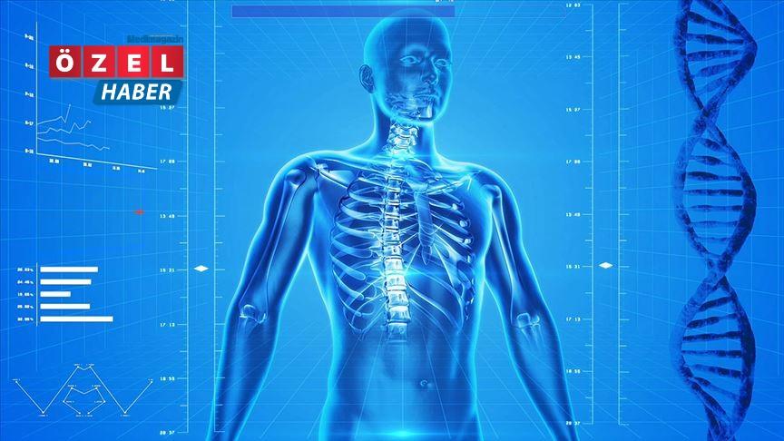 Otopsiler, COVID virüsünün tüm vücudu işgal ettiğini gösteriyor