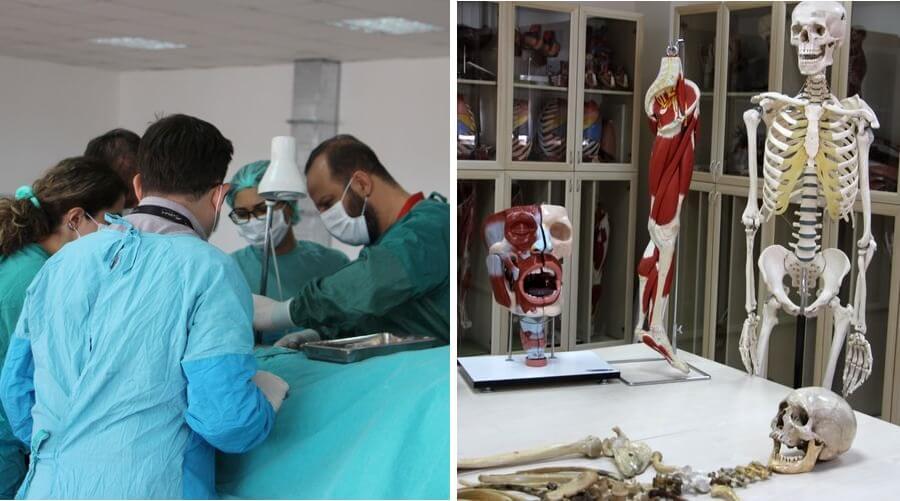 Bilim için 'kadavra gönüllüsü' aranıyor