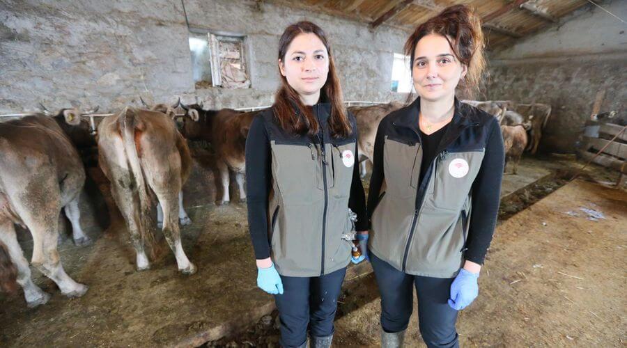 Kadın veterinerler, köy köy dolaşıp hastalıklarla mücadele ediyor
