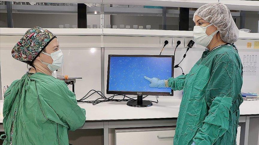 Türk bilim insanları COVID-19'a karşı hazırlanacak ilaç için antikor üretti