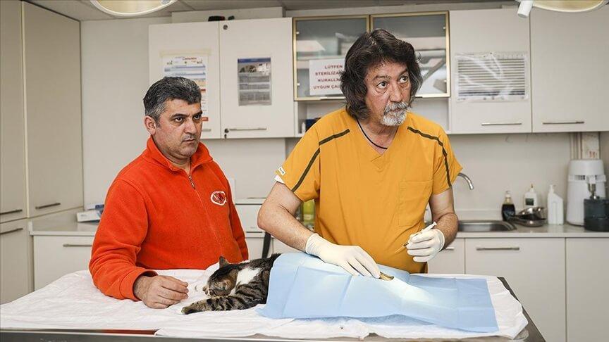 Kök hücre tedavisi felçli hayvanlar için umut oldu