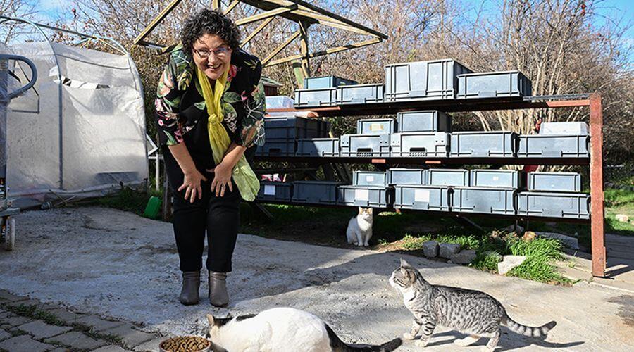 Kozmetik ham maddesinin ardından sinekten köpek maması da ürettiler