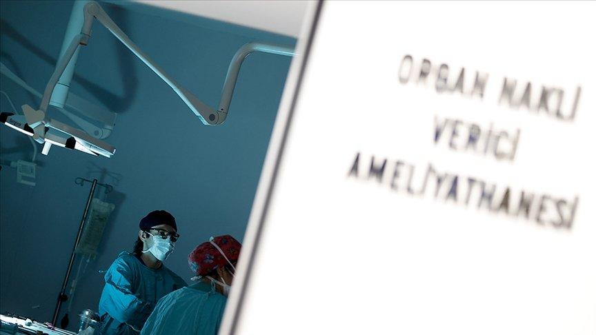 2023 yılında kadavradan organ nakli oranı yüzde 16'ya düştü