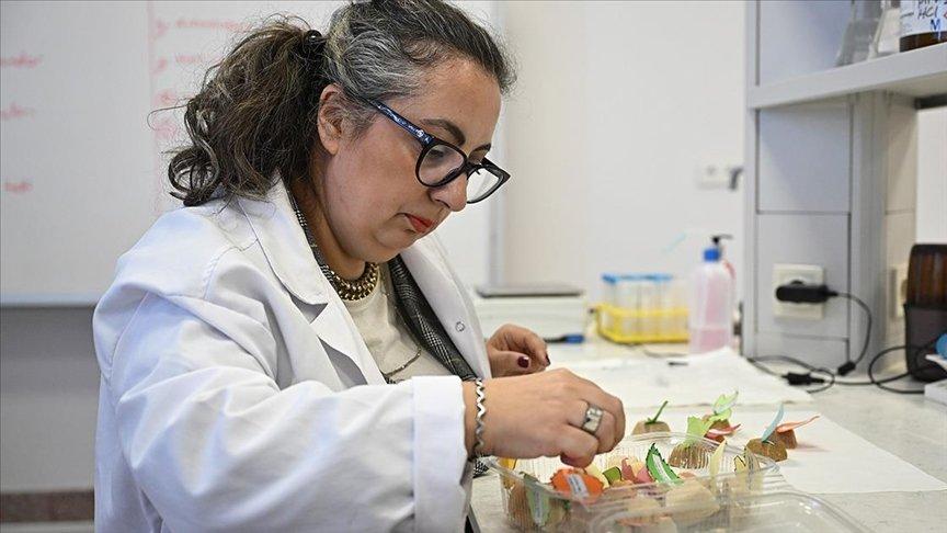Trakya Üniversitesi Eczacılık Fakültesinde kimyasal içermeyen sabun üretildi