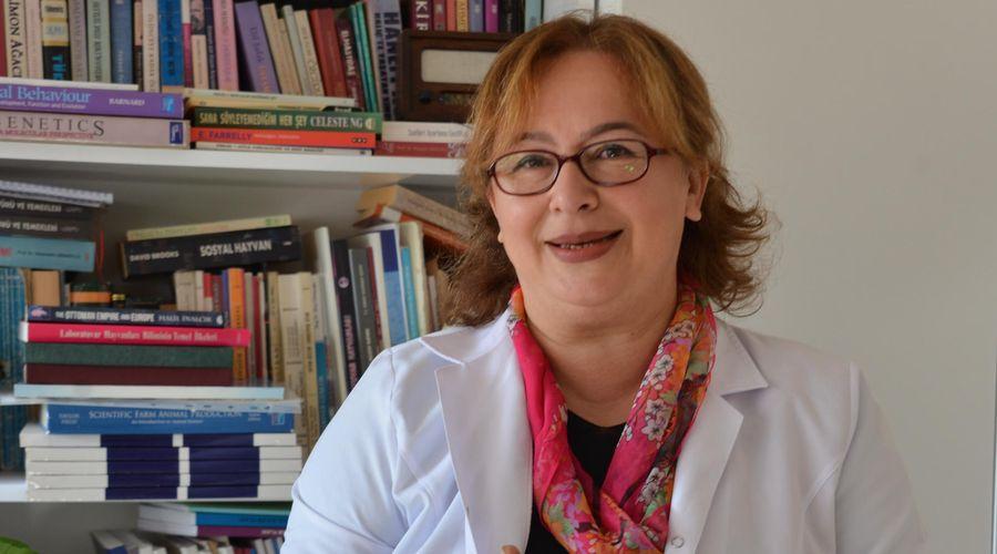 Prof. Dr. Sabuncuoğlu: 'Köpek görünce ağaç olacaksın' düşüncesi yanlış