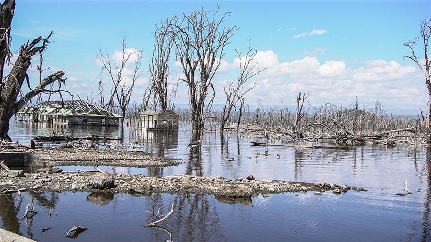 DSÖ, Kenya'daki sel felaketinin kolera riskini artırdığını açıkladı