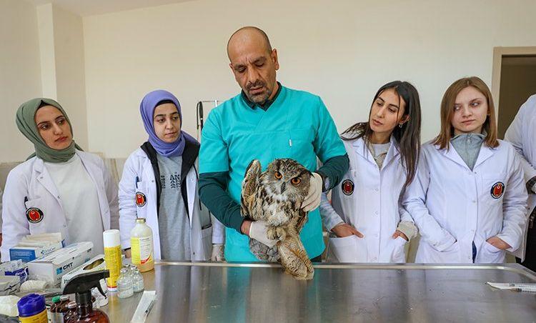 Diyarbakır'da veteriner hekim adayları yaban hayvanlarının tedavisini uygulamalı öğreniyor