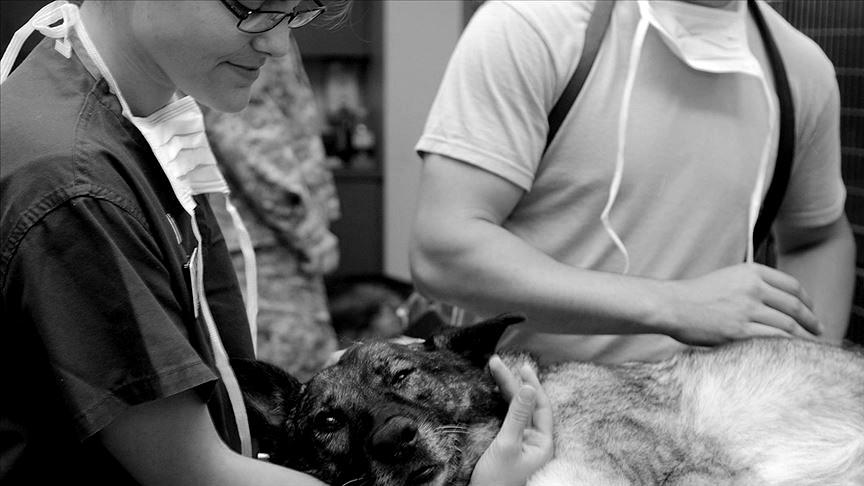 26 veteriner hekim ile 7 veteriner adayı depremde hayatını kaybetti