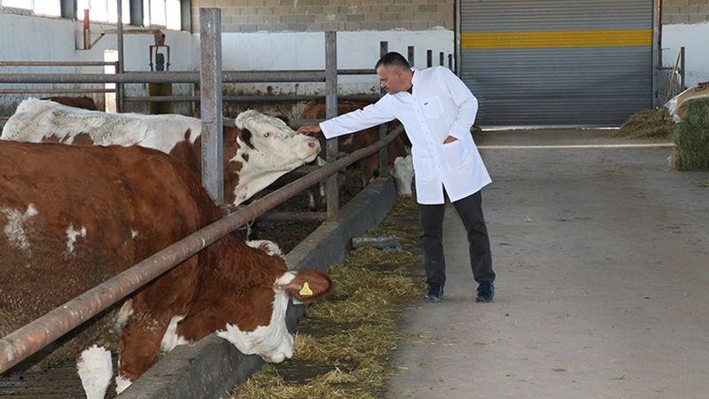 Veteriner hekim devlet desteğiyle kurduğu çiftliğin elektrik giderini de GES'le sıfırladı