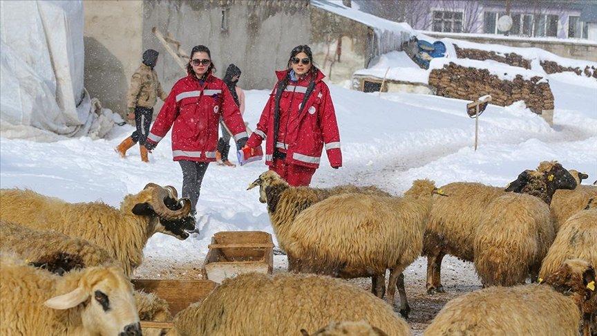 Doğu'daki veteriner hekimler ağır kış koşullarında hayvanların tedavisini gerçekleştiriyor