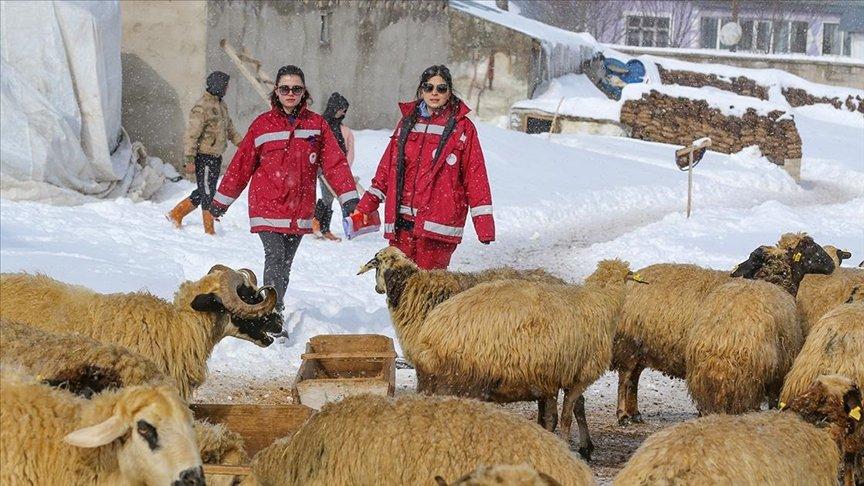 Doğu'daki veteriner hekimler ağır kış koşullarında hayvanların tedavisini gerçekleştiriyor