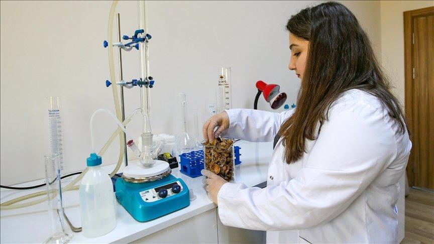 Van'da ceviz kabuğundan 'yüzey alanı geniş aktif karbon' üretildi