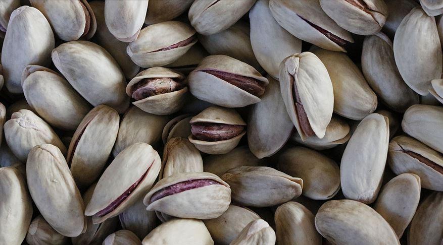 Mineral ve vitamin deposu Antep fıstığının faydaları