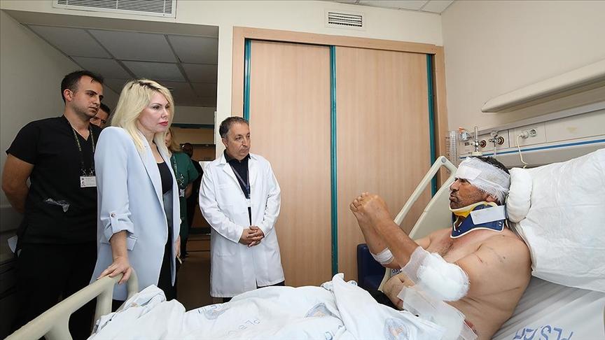 Aslan saldırısıyla yaralanan Kır'ın son durumu: Boynunda kırığı var, ameliyatlık değil
