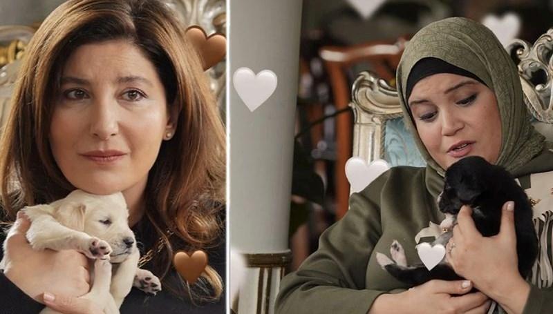 Kızılcık Şerbeti'ndeki repliğe Sağlık Bakanlığından açıklama