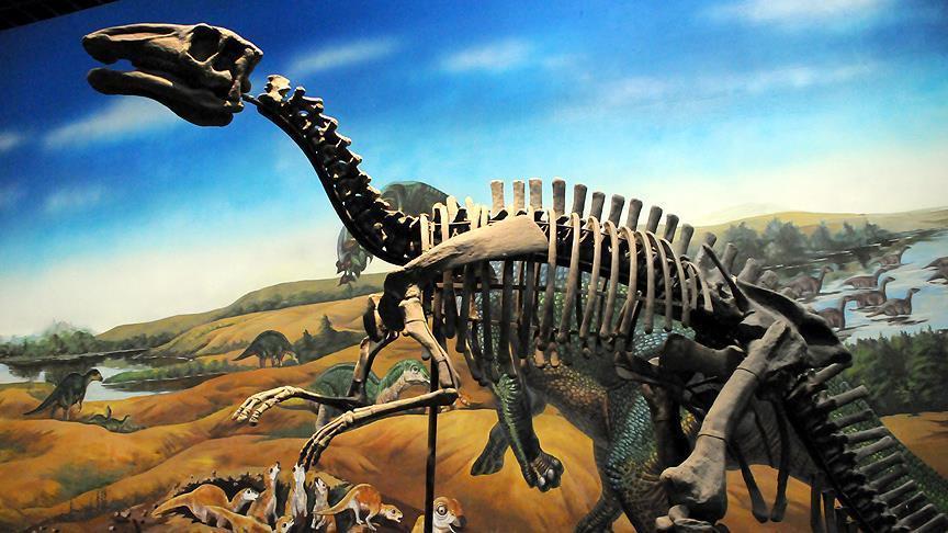 Bilim insanları bir dinozorda kanser buldu: İnsan tümörüyle aynı tür