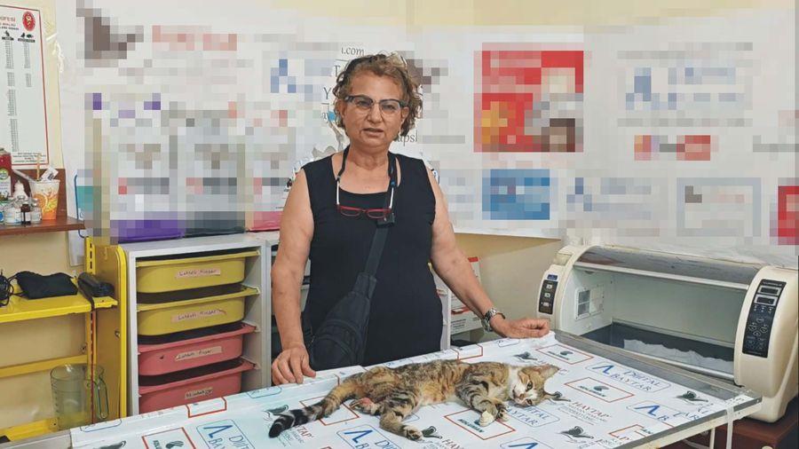 Emekli hemşire, bayram ziyaretinde yolda bulduğu bacağı kırık kediyi tedavi ettirdi