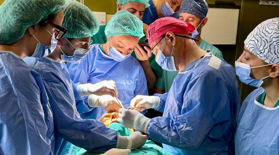 Gönüllü Türk hekimler, Kosova’ya gidip 22 hastayı 53 ayrı ameliyatla sağlığına kavuşturdu