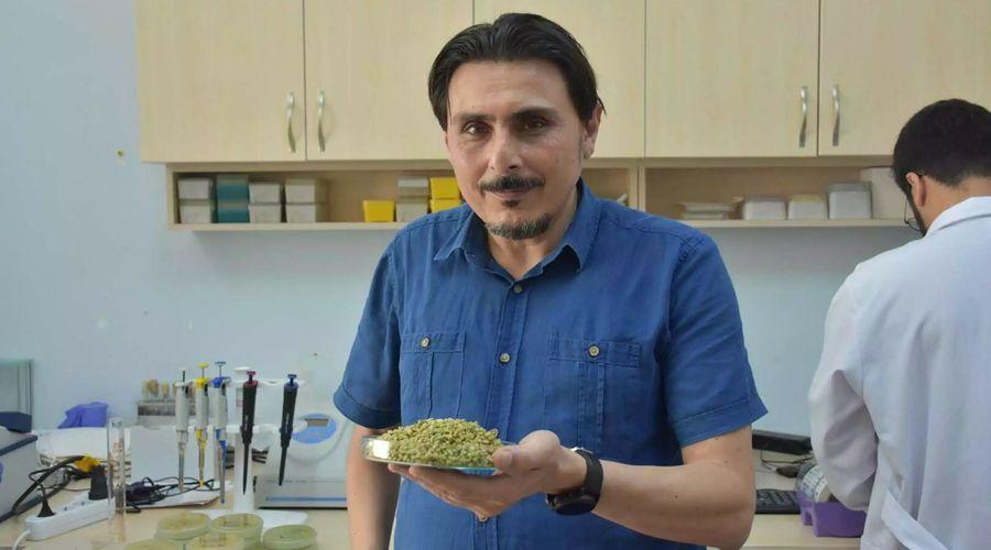 Bilimsel çalışma: İzmir kekiği antibiyotikten daha etkili