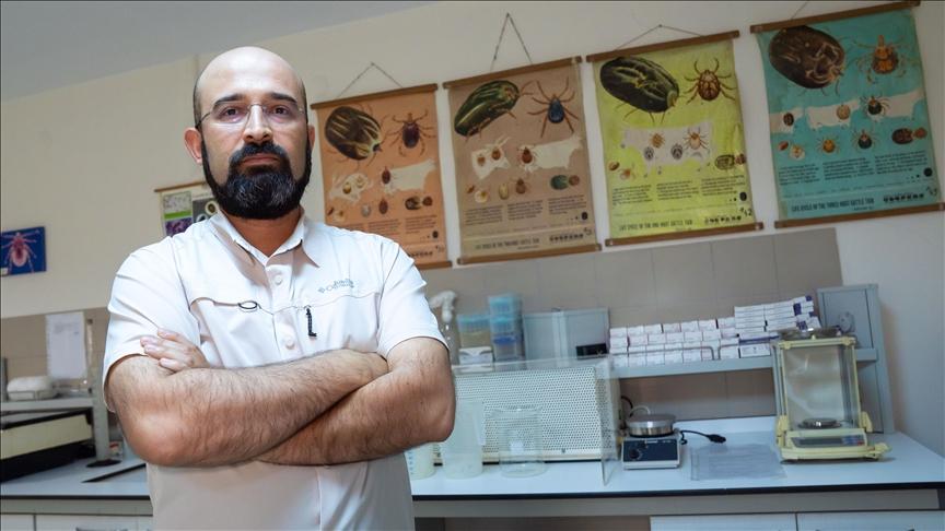 Kene riski şehirlerden çok kırsalda yüksek
