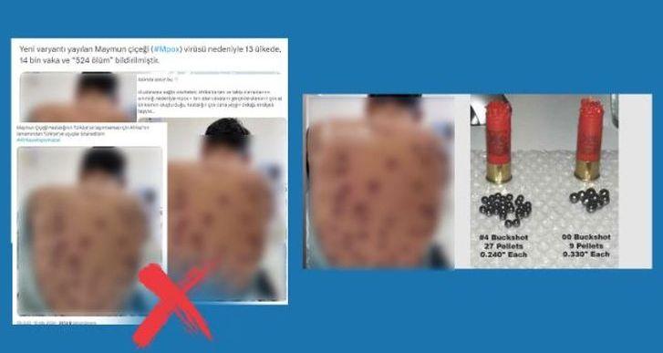 DMM'den maymun çiçeği paylaşımlarına yalanlama