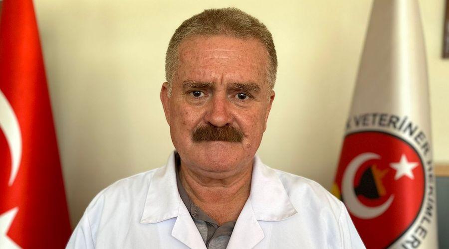 Türkiye'de görülen 'mavi dil hastalığı' için açıklama yapıldı: Telaşa gerek yok